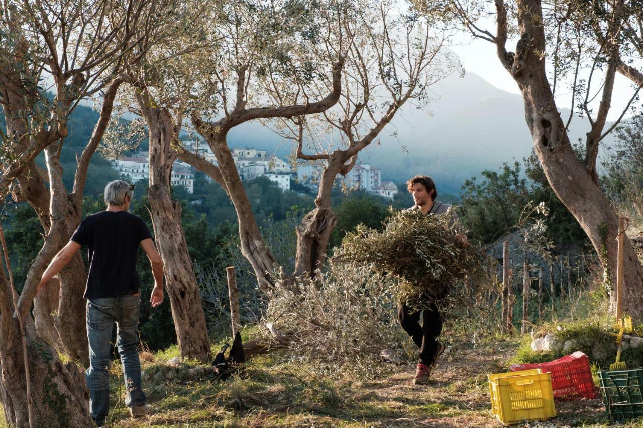 Vietri Ancient Estate "Il Trignano" 빌라 외부 사진