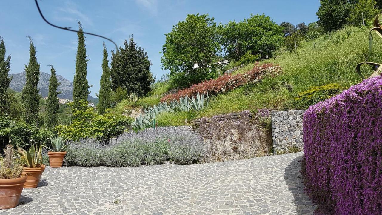 Vietri Ancient Estate "Il Trignano" 빌라 외부 사진